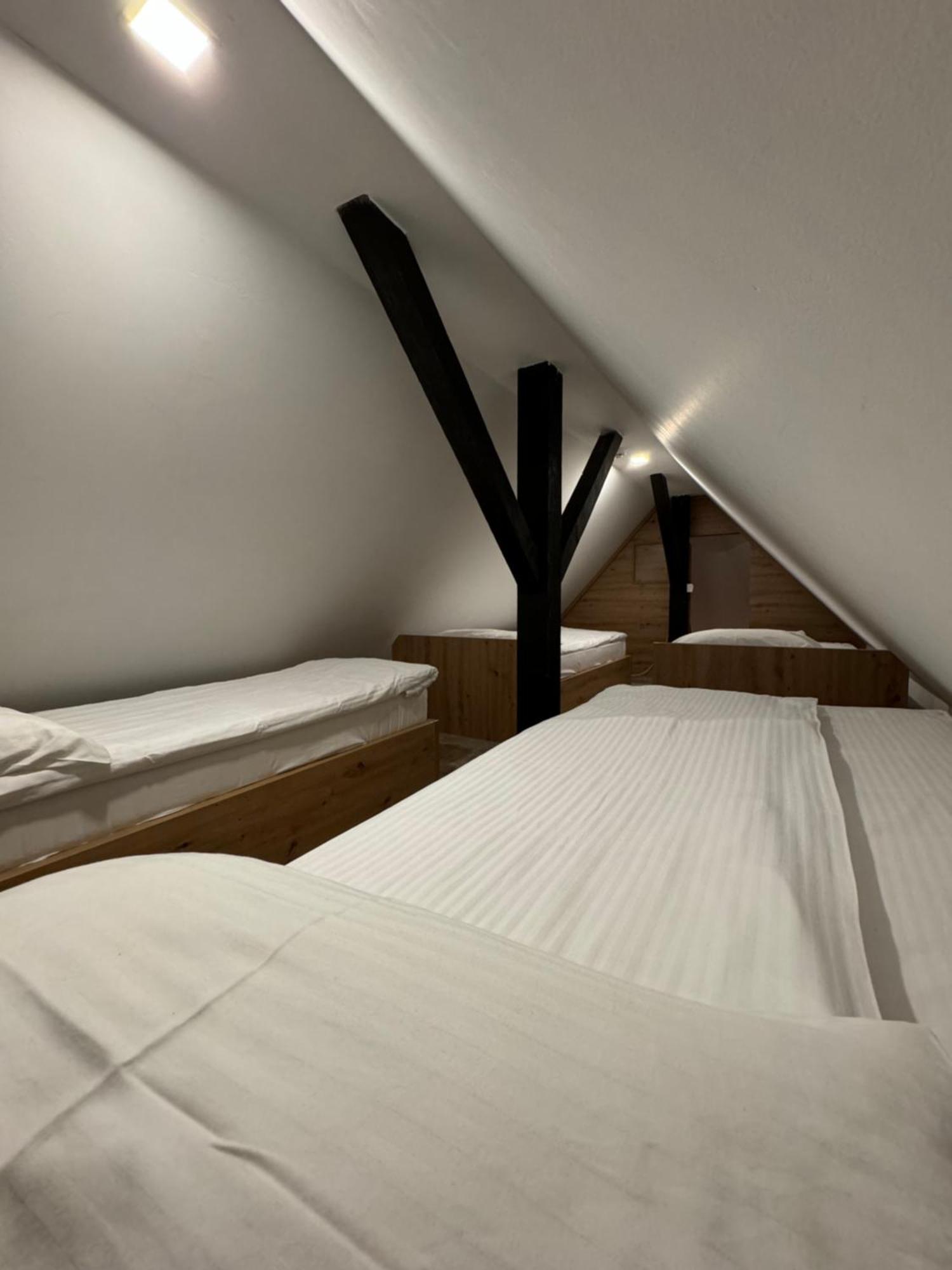 Apartments Suncani Vrhovi Копаоник Экстерьер фото